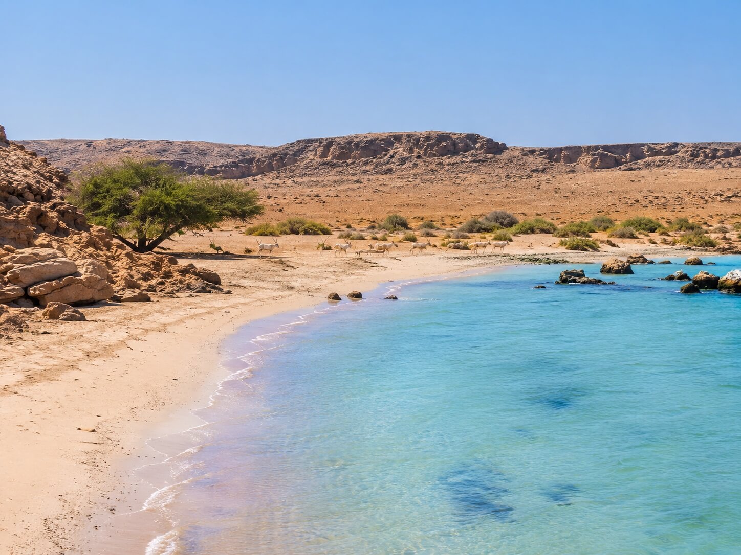 Sir Bani Yas Island