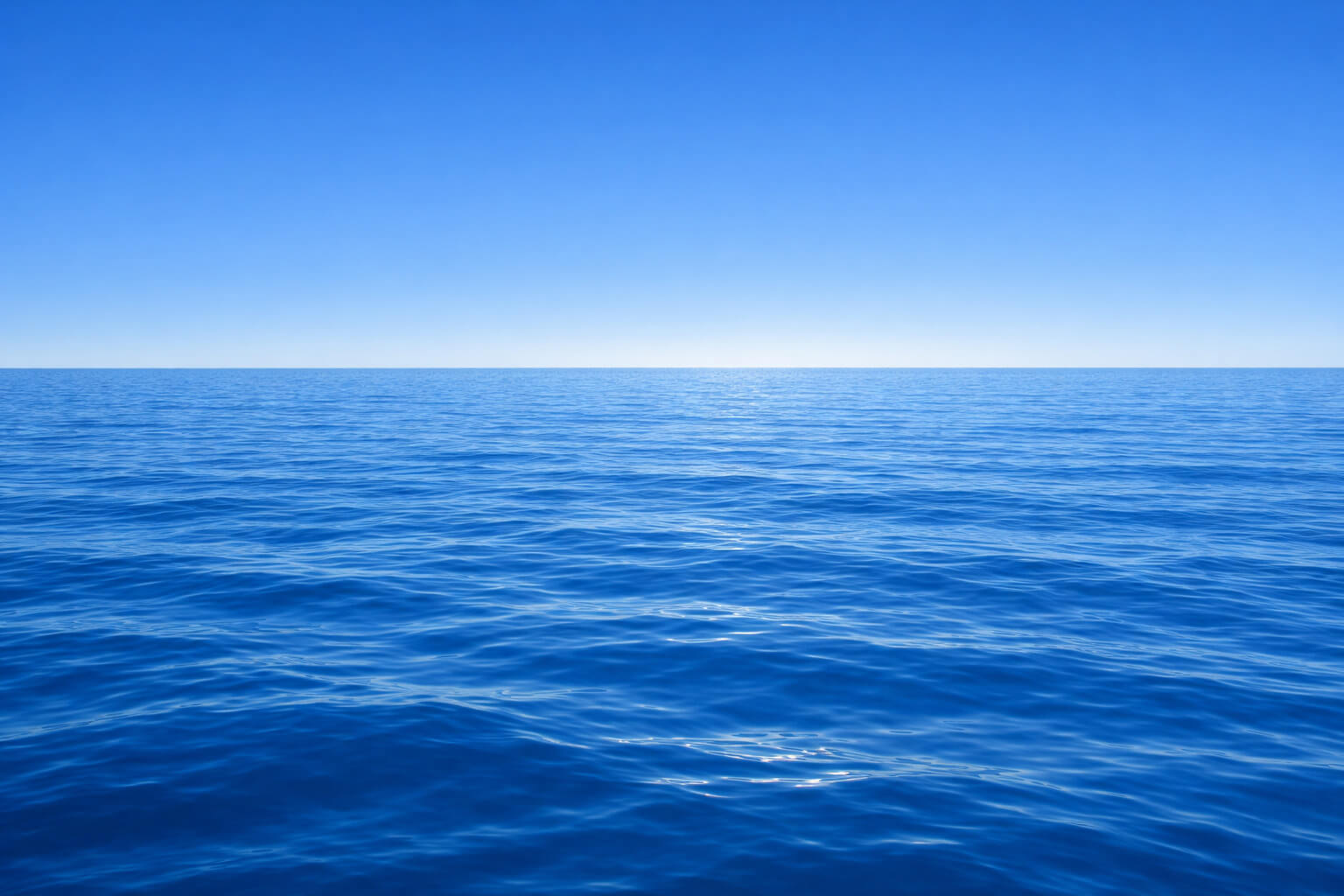 Sea Day